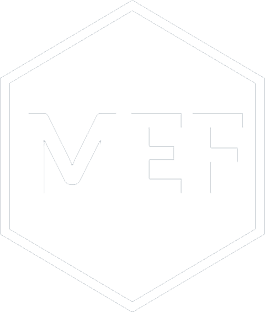 MEF Consultora